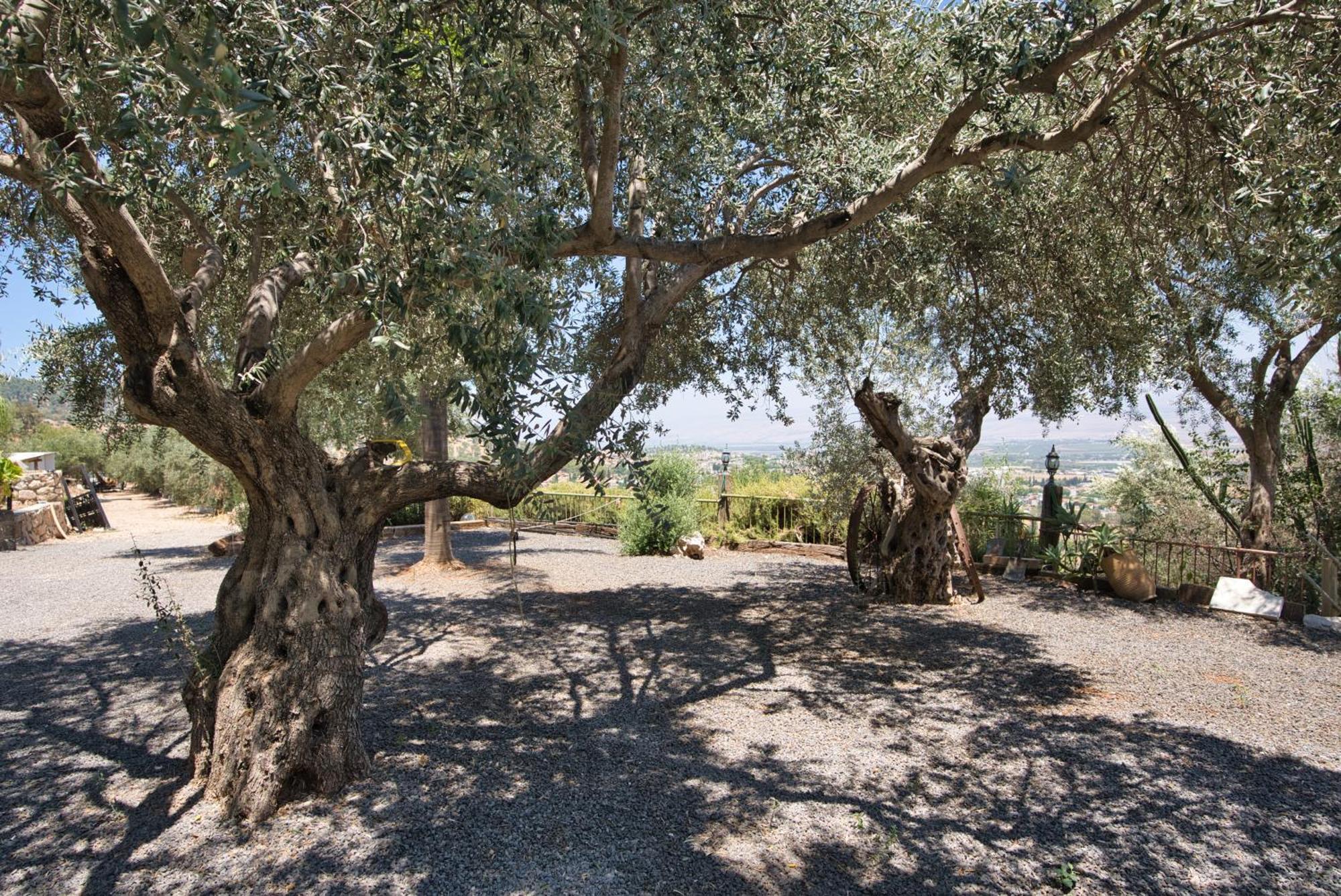 Hameiri Estate Rosh Pinna Luaran gambar